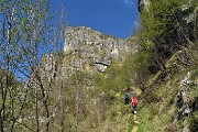 Monte Cancervo ad anello dalla Pianca sui sentieri CAI 102-130-131 il 1 maggio 2019 - FOTOGALLERY